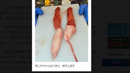 無題10