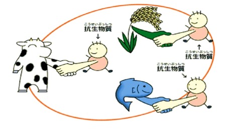 抗生物質2
