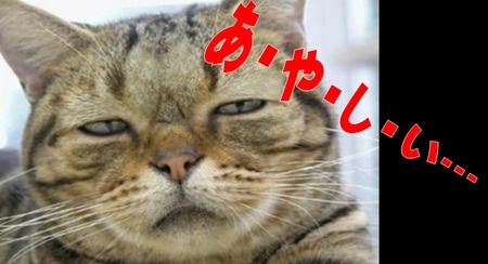 ayasiizo