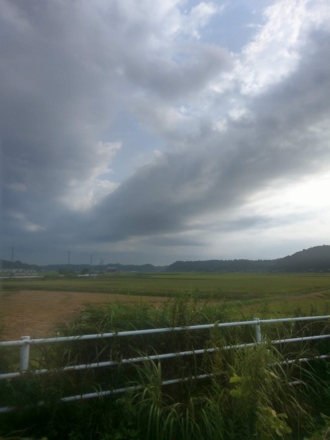 IMAG9017