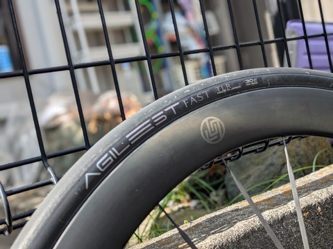 PXL_20251010_044831379.PORTRAIT