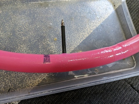 PXL_20240611_023402243