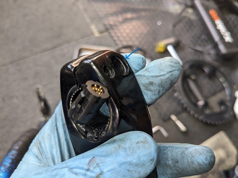 PXL_20231109_003944751