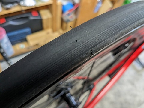 PXL_20230821_024201560