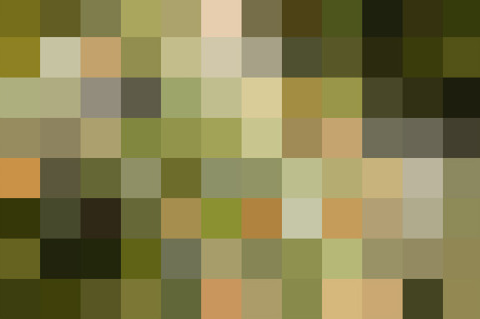 BlogPaint