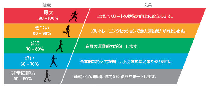 室内トレーニングで初の心拍計を試してみたゾ えふえふぶろぐ