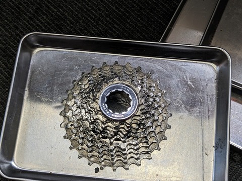 PXL_20230608_025749063