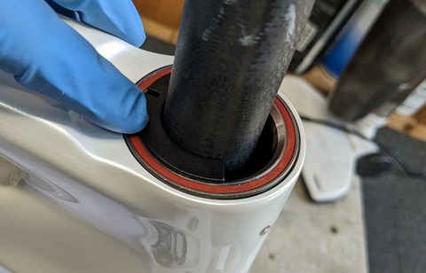 PXL_20230502_051156250 (1)