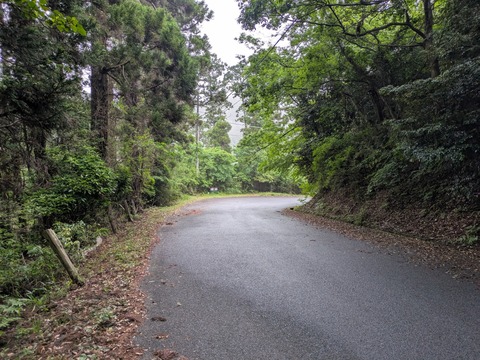 PXL_20260523_212817631 (1)