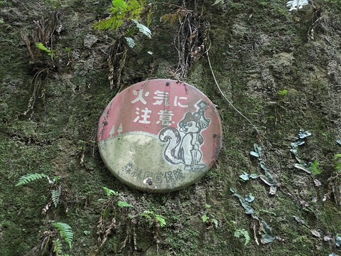 PXL_20240504_020922664