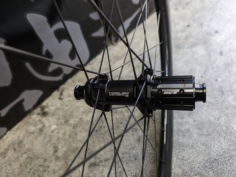 PXL_20240612_044806915