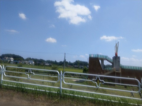 IMAG9041