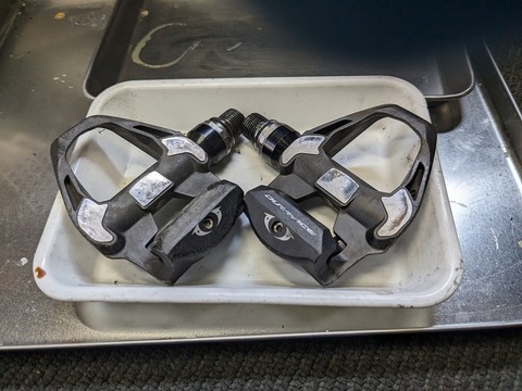 PXL_20230620_060611985