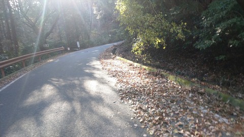 IMAG0686_R