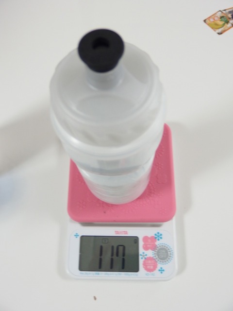 P6303091