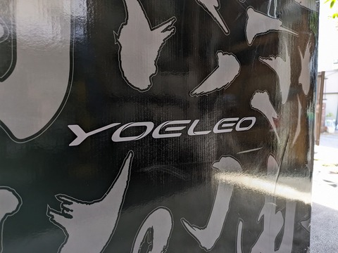 PXL_20240611_005246689