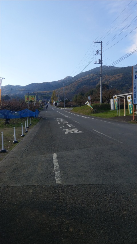 IMAG0684_R