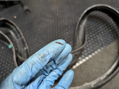 PXL_20240808_102339307