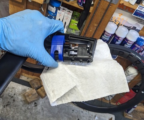 PXL_20231007_062022292