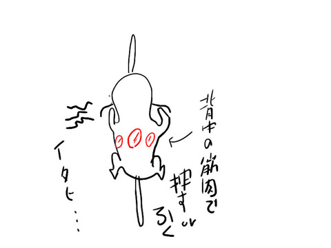 ペダリング背中