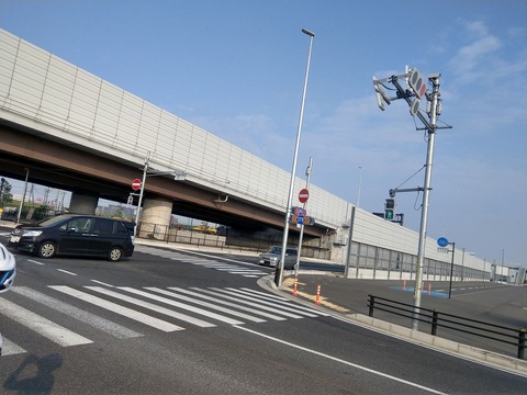 IMAG8978