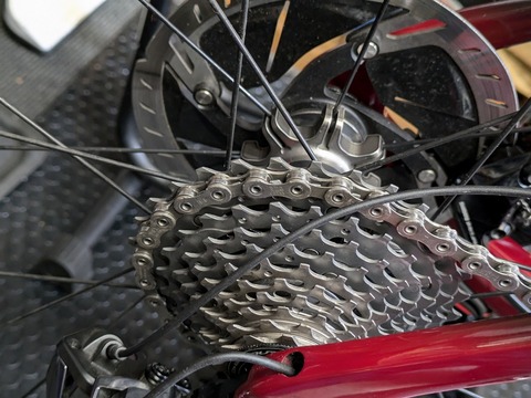 PXL_20240930_045944164