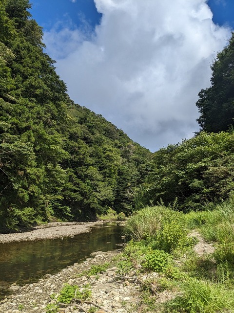 PXL_20230805_235828713