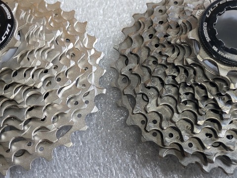 PXL_20241028_023109096