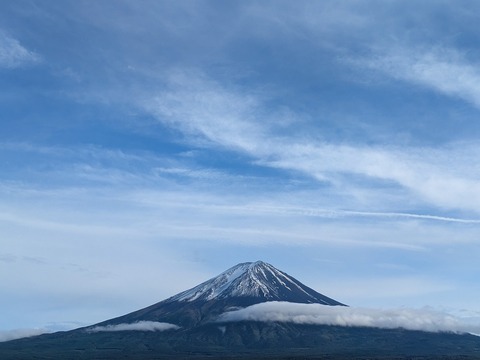 PXL_20250531_080534561