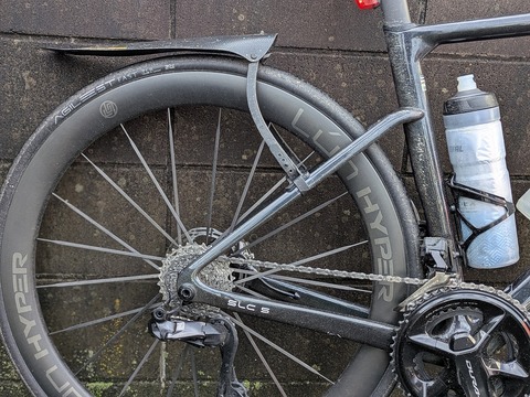 PXL_20251026_231652823.PORTRAIT