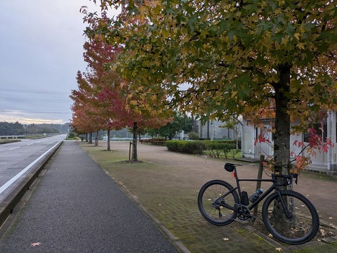 PXL_20241109_214331394