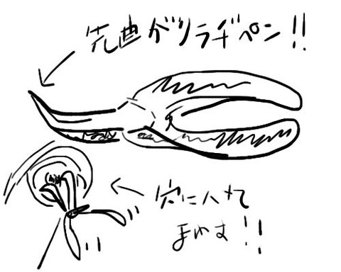 ラジオペンチ2