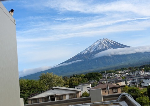 PXL_20250531_081021834.PORTRAIT