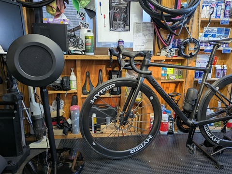 PXL_20241223_051907048