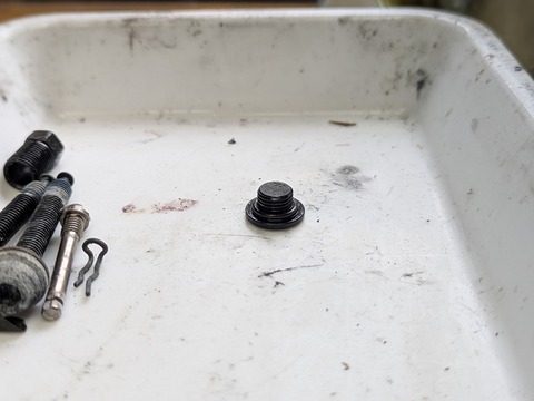 PXL_20260115_060725561.PORTRAIT