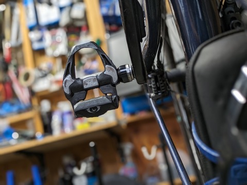 PXL_20240527_023758531.PORTRAIT