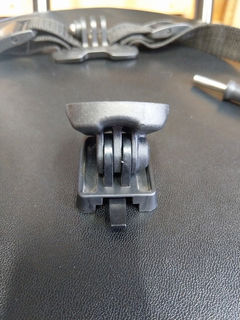 IMAG7911