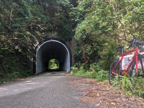 PXL_20230805_230925633