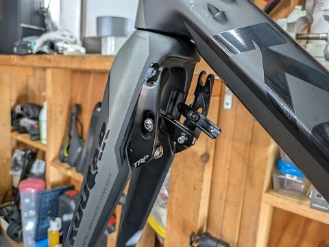 PXL_20241130_003324849