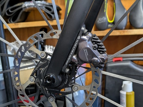 PXL_20241130_065238922.PORTRAIT