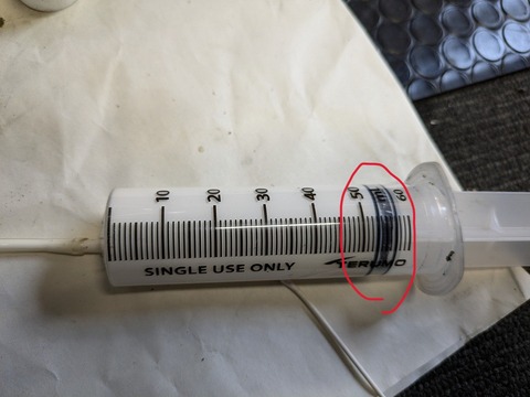 PXL_20240813_040246793