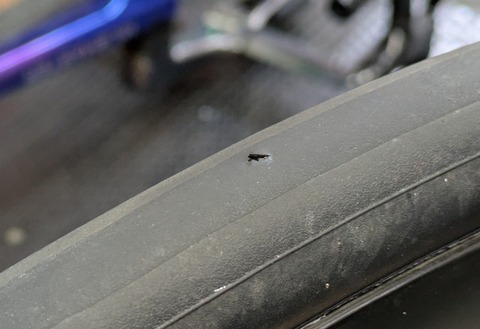 PXL_20260210_053418537 (1)