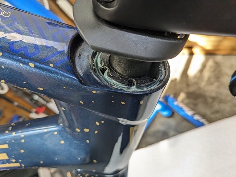 PXL_20231211_043544691