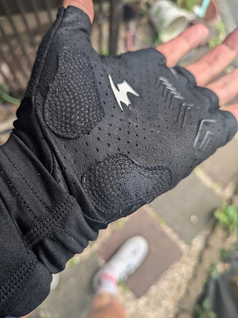 PXL_20240710_221948556