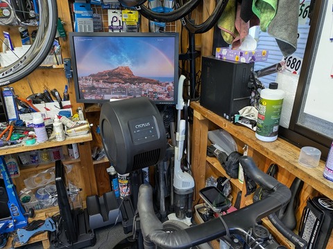 PXL_20241223_051952328