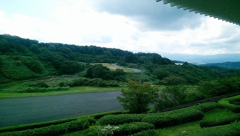 IMAG0447