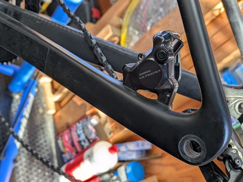 PXL_20241225_233328729.PORTRAIT