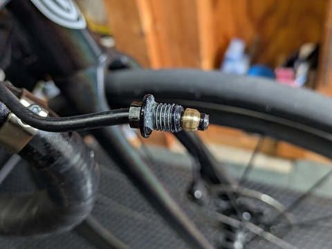 PXL_20250816_005032078.PORTRAIT