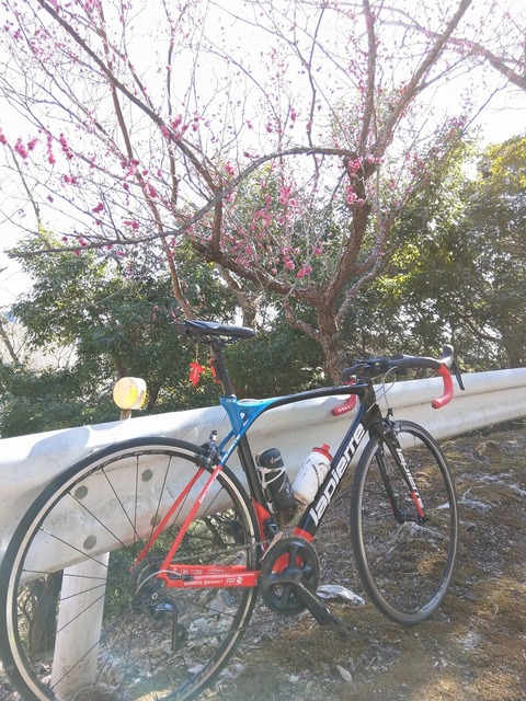 IMAG0783