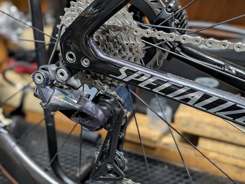 PXL_20250904_215525039.PORTRAIT